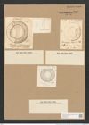 Campylodiscus kittonianus Grev. (de-Toni-Nr.: Genus 57, Species 2510) Zeichnungen Sammlung Grunow Nr. 5020 (NHMW-BOT-W0373275)